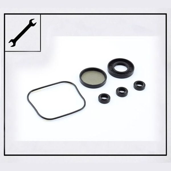 Ehrle HD 523 HJRS Oil Seal Service Kit 12mm
