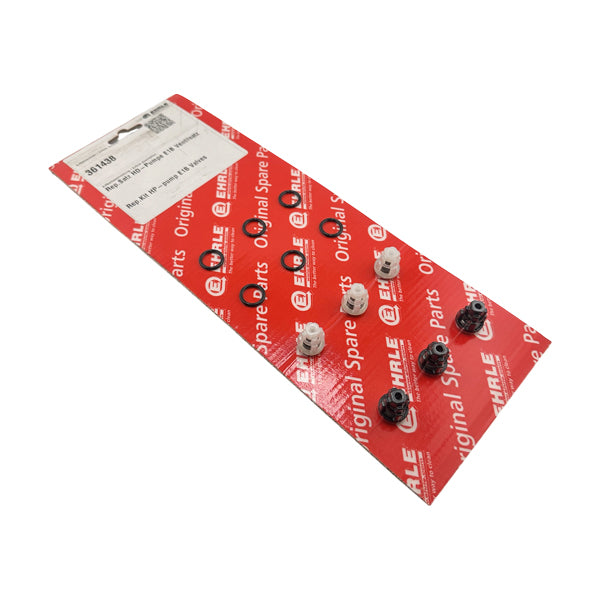 Ehrle Valve Kit For HD 623, HD 640, HDE 840 - 361438