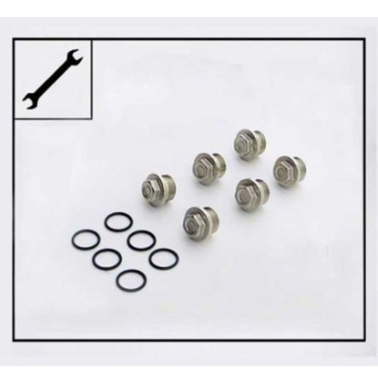 Ehrle Pump Valve Plug Kit For HD 823, HD 940, HD 623 - 361439